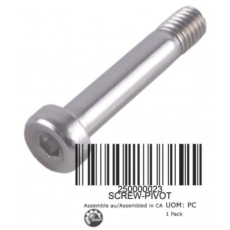 PIVOT BOLT * SCREW-PIVOT