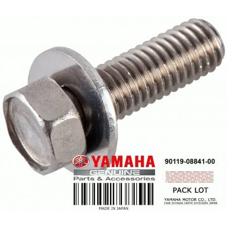 BOLT, WITH WASHER