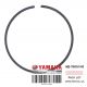 PISTON RING SET (STD) (USA)