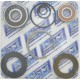 kawasaki turbine bearing kit