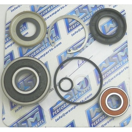 Kawasaki Jetski Impeller Bearing Kit 003-606