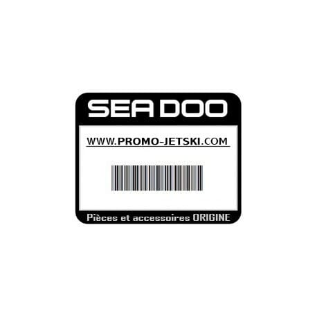 Sea-Doo decal