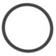 O-Ring Included in gasket kit (replaced by 420631610)