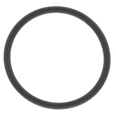 O-Ring Included in gasket kit (replaced by 420631610)