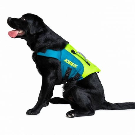 Lime JOBE dog vest