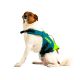 Lime JOBE dog vest