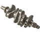 SBT adaptable crankshaft for Seadoo Spark and 900