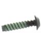 Screw M6.81X30 250001008