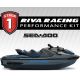 RIVA stage 1 kit for GTX/GTX Ltd 300 (24+)