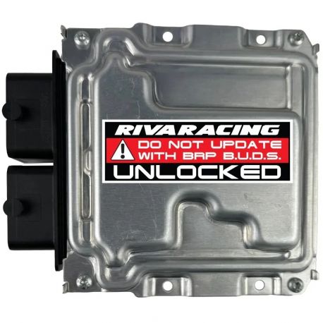 Unlocked RIVA ECU with tuning license for 325