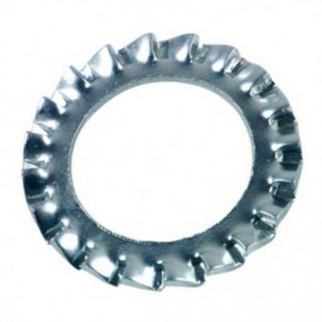 Ext. Tooth Lock Washer 6 mm - 217161600