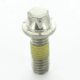 Flanged Torx Screw M6