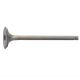 Exhaust Valve, 25 mm