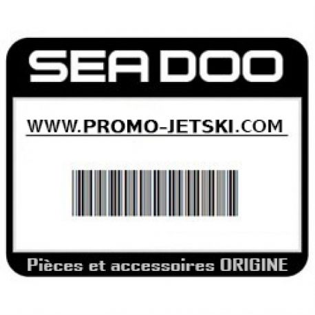 Sea-Doo Hull Decal RH. Model GTI SE, Orange