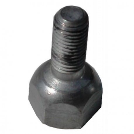 CBS wheel screw