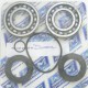 kawasaki turbine bearing kit