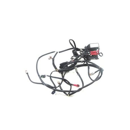 CABLAGE PRINC., WIRING HARNESS, 278002161