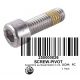 BOLT, PIVOT, SCREW-PIVOT, 250000026