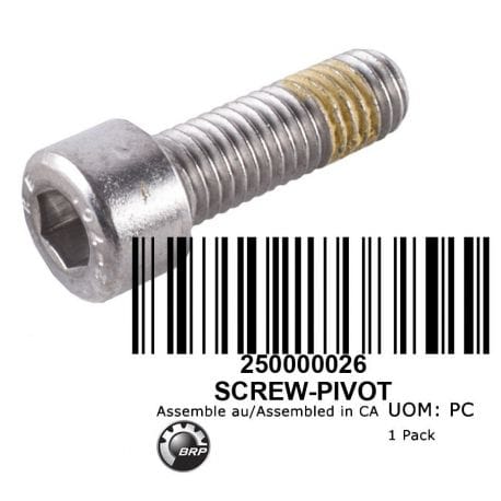 BOLT, PIVOT, SCREW-PIVOT, 250000026