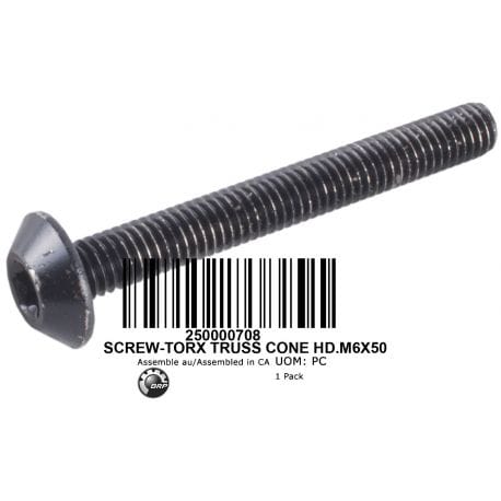 SCREW TORX M6 X 50 250000708