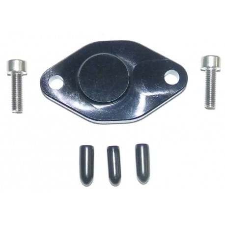 WSM Oil Pump Removal Plate