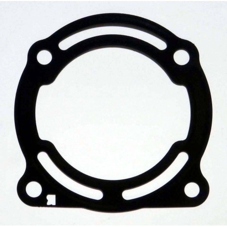 Individual gaskets for Kawa. Ultra 250/ 260 007-328-05