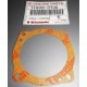 GASKET, DIAPHRAGM