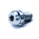 Hexalobular Screw 420641488