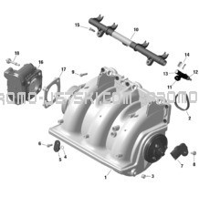 ROTAX - Air Intake Manifold And Throttle Body pour Seadoo 2023 GTR 230