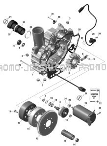 ROTAX - Magneto and Electric Starter pour Seadoo 2023 RXP X 300 SPECIAL SERIES